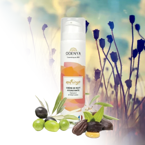 Nutricya – Crème de nuit hydratante